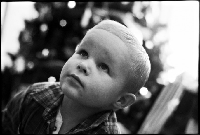 Portrait of a little boy on Christmas