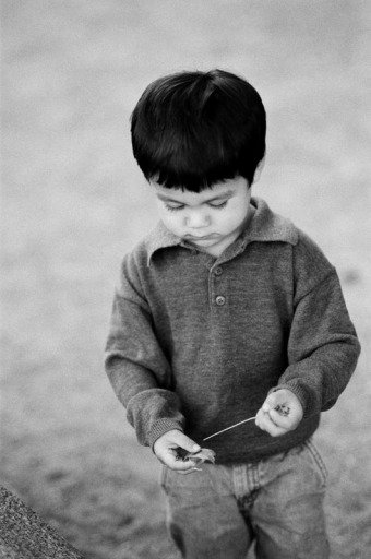 Portrait of a three year old boy looking down