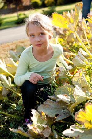 A six year old girl picks out a pumpkin