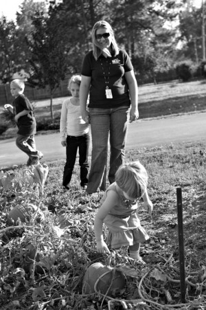 A three year old girl picks out a pumpkin
