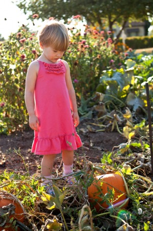 A three year old girl tries to decide on a pumpkin