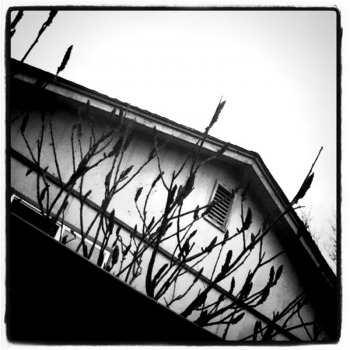 The view from my office window. Photographed on my iPod Touch 4G.