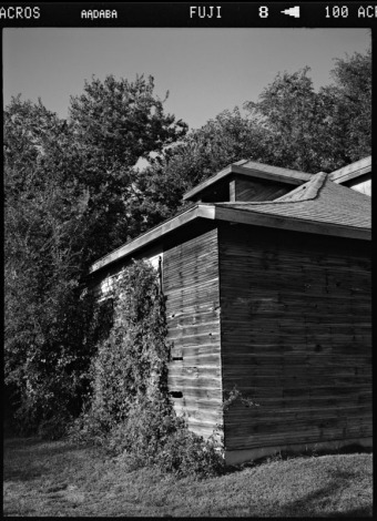 Wooden house and trees