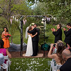 First kiss under the old tree