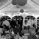 Wedding Reception